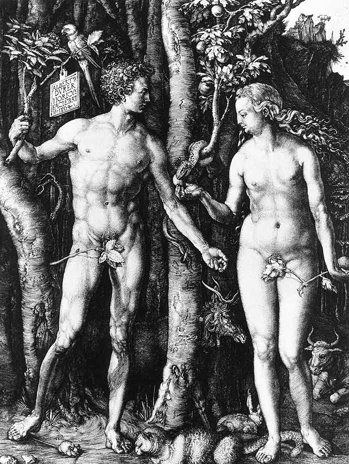 Photo:  Adam and Eve, 1504 (engraving)